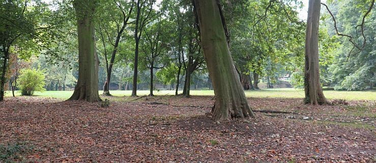 Fundusz dał pieniądze na park w Jarocinie. Urzędnicy sprawdzili, jak je wykorzystano  - Zdjęcie główne