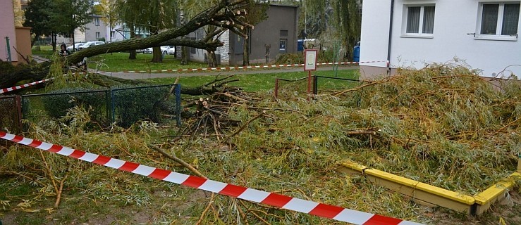 W weekend znów będzie wiało. Meteorolodzy ostrzegają  - Zdjęcie główne