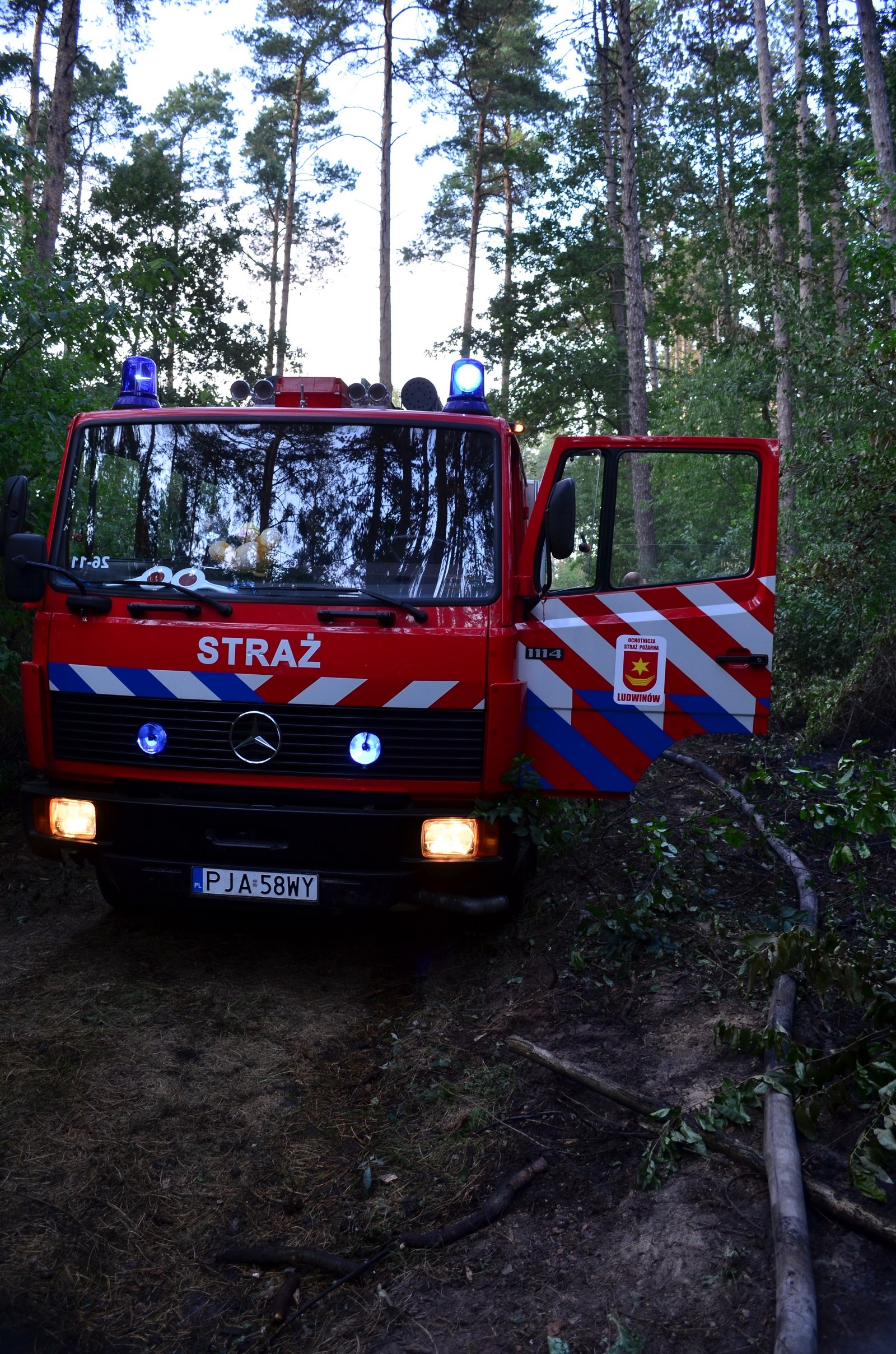 Żerków. Pożar w środku lasu - Zdjęcie główne