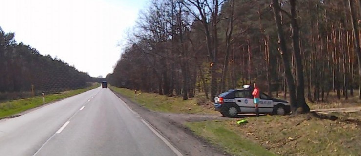 Droga krajowa, radiowóz, leśny dukt i... [WIDEO] - Zdjęcie główne