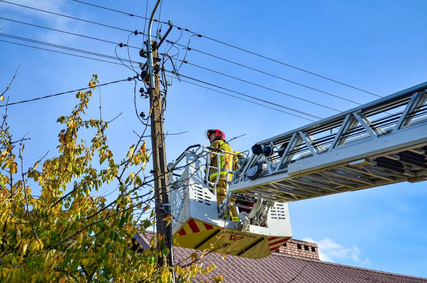 Uwalnianie kota ze słupa energetycznego