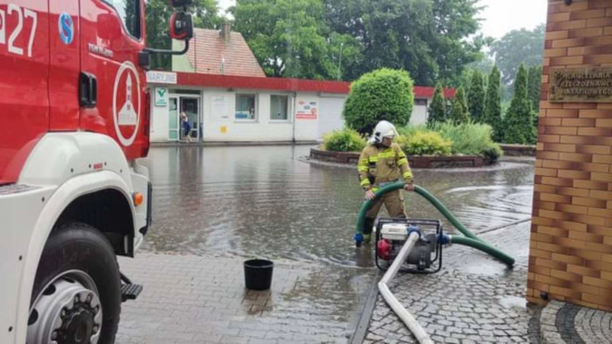 Ostrzeżenie meteorologiczne drugiego stopnia. Burze, silne opady deszczu i wiatr - Zdjęcie główne