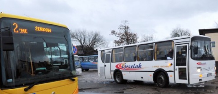 Prywatny przewoźnik bez zezwolenia wozi pasażerów - Zdjęcie główne