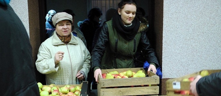 Tony jabłek za darmo. Już dzisiaj - Zdjęcie główne