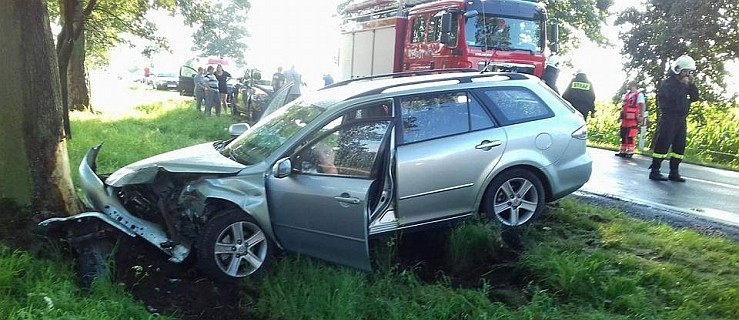 Auto osobowe uderzyło w drzewo - Zdjęcie główne