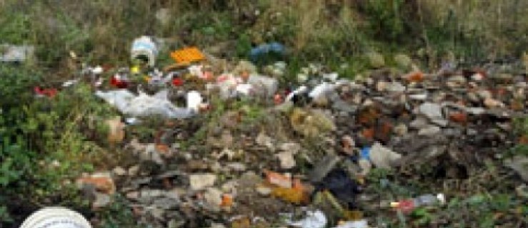 Wciąż wyrzucają śmieci do lasu - głupota czy lenistwo? - Zdjęcie główne