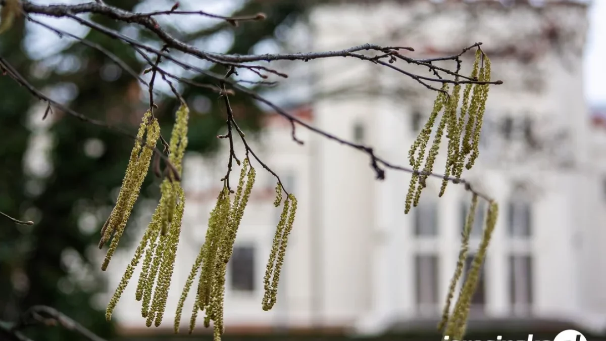 Duże zmiany w pogodzie. Co nas czeka, jaka będzie Wielkanoc - mamy najnowsze prognozy
