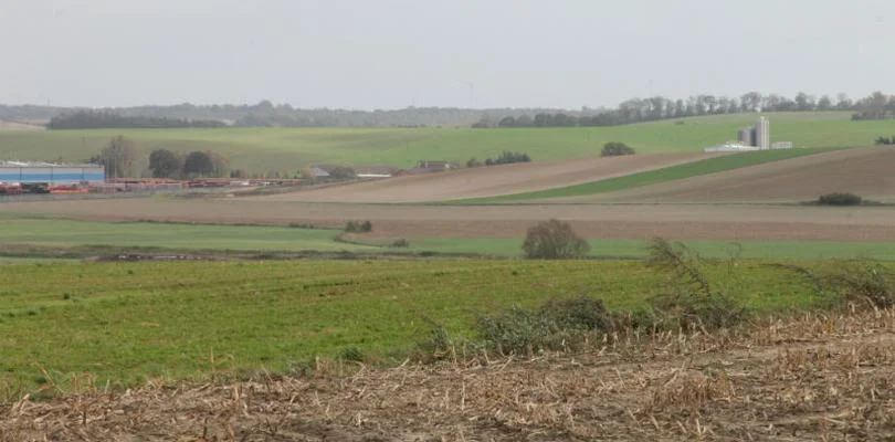 [WR] Rekompensaty za szkody wyrządzone przez ptaki - Zdjęcie główne