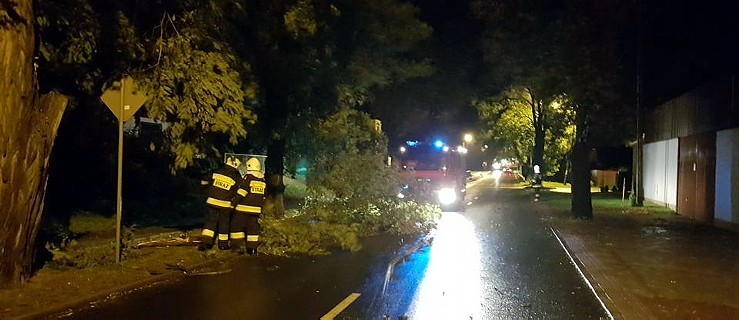 Dziewięć zerwanych dachów, drzewa tarasujące drogi      - Zdjęcie główne