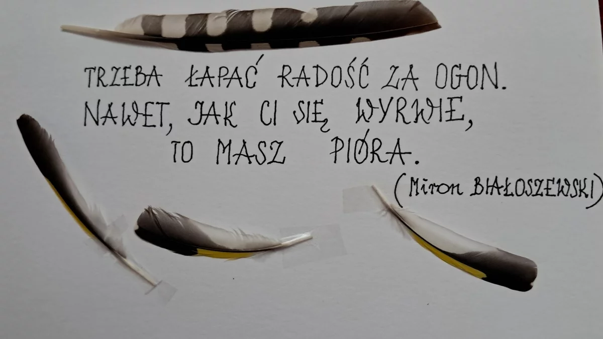 Z życia wzięte: Mój czas jest moją wiecznością, czyli historia pewnego listu... - Zdjęcie główne