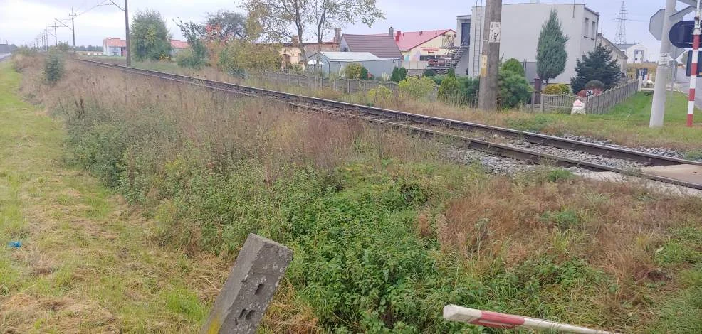 Przetarg na remont fragmentu linii 281 – zgłosiło się wielu chętnych