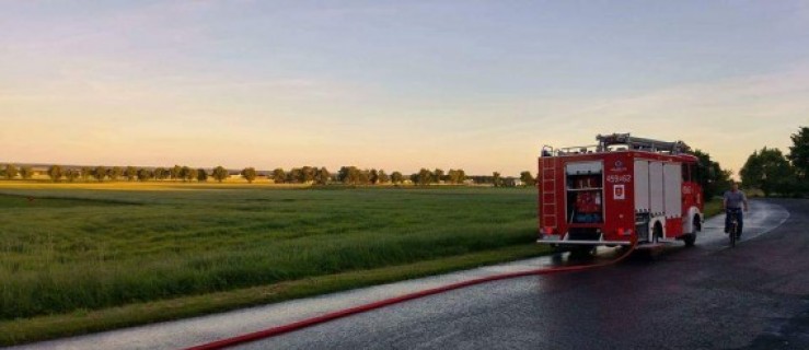 Fekalia na drodze. Straż w akcji - Zdjęcie główne