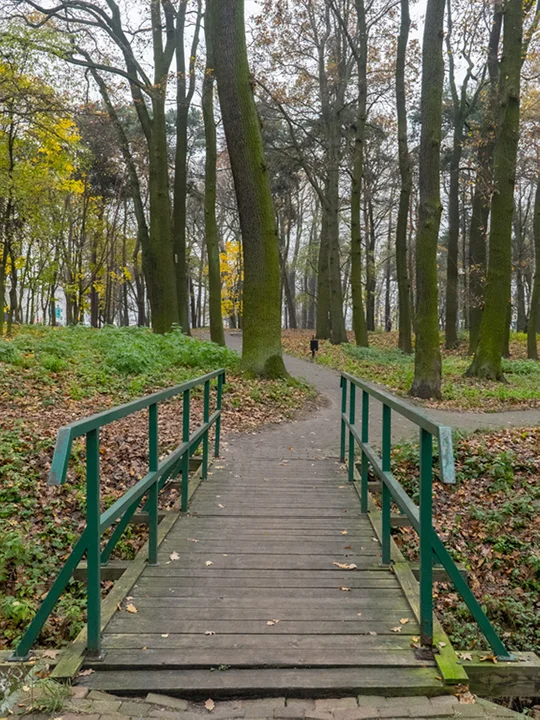 Park na Szubiankach w Jarocinie będzie rewitalizowany