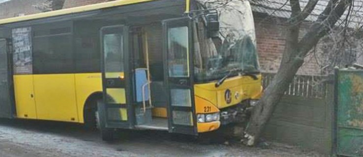 Wypadkowy poniedziałek. Autobus uderzył w drzewo - Zdjęcie główne