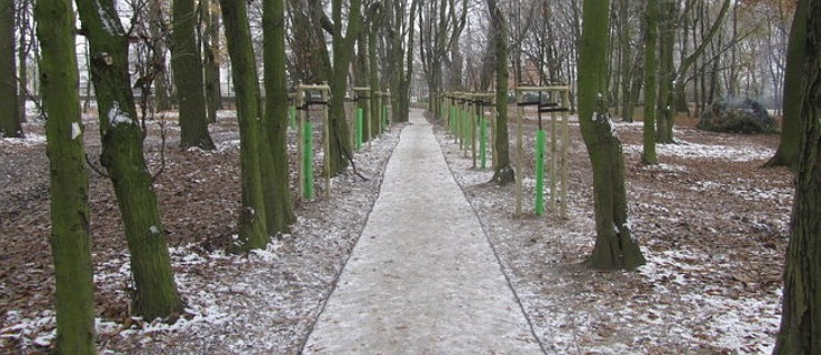 Uporządkowany i odnowiony park dla mieszkańców DPS-u - Zdjęcie główne