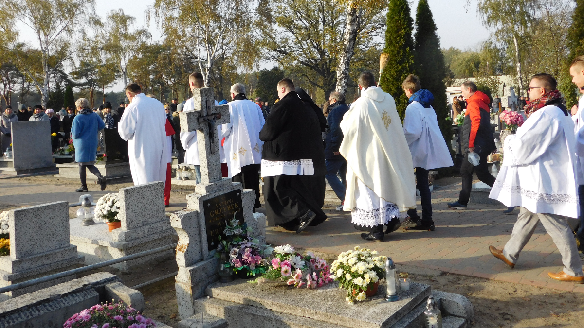 Kamień, drzewo zamiast grobu? Do końca marca trwają konsultacje społeczne w sprawie zmian w pochówkach - Zdjęcie główne