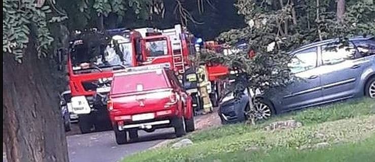 Alarm bombowy w szkole? Na miejscu koncentracja służb ratunkowych  - Zdjęcie główne