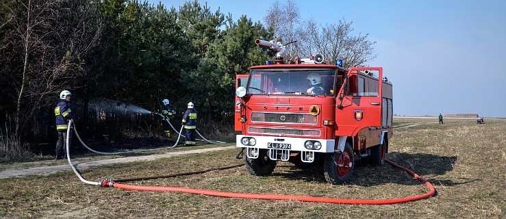 Strażacy opanowali pożar lasu - Zdjęcie główne