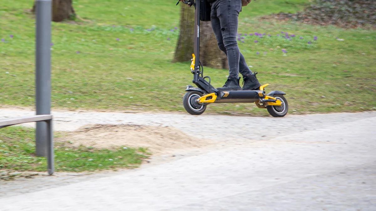 Będą nowe zasady w parku miejskim. Zajrzeliśmy do regulaminu