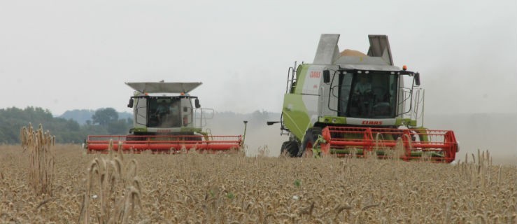 Pokazy polowe dilera Agro Sznajder i firmy Class w Baronówku - Zdjęcie główne