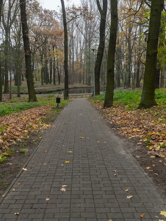 Park na Szubiankach w Jarocinie będzie rewitalizowany