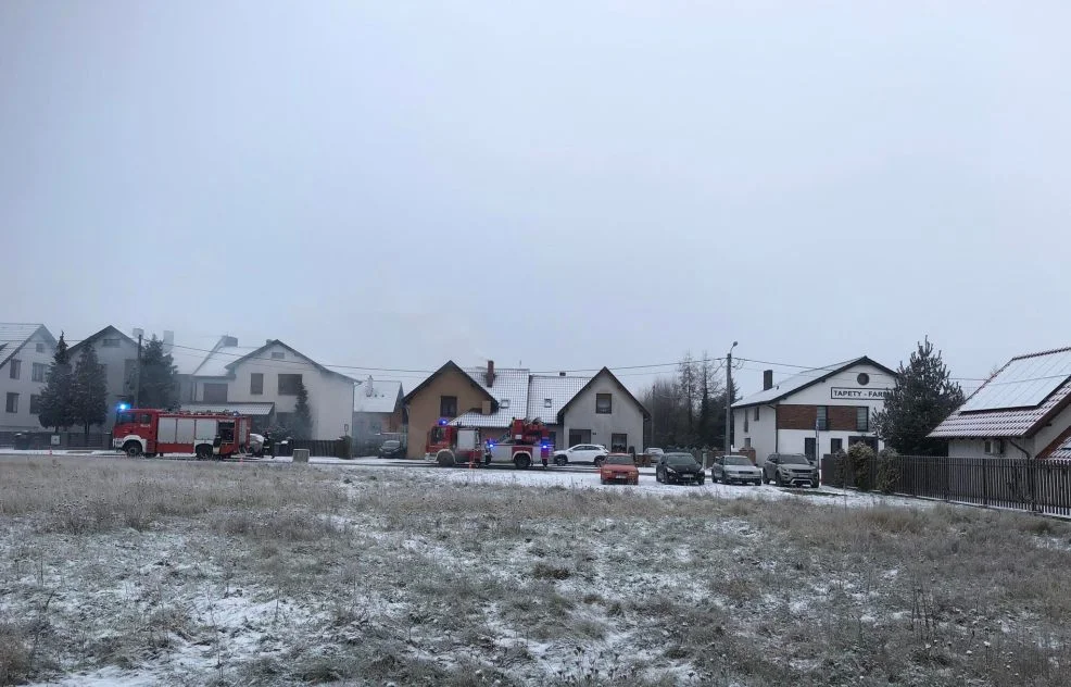 Pożar sadzy w jednym z domów przy ul. Zagonowej w Jarocinie - Zdjęcie główne