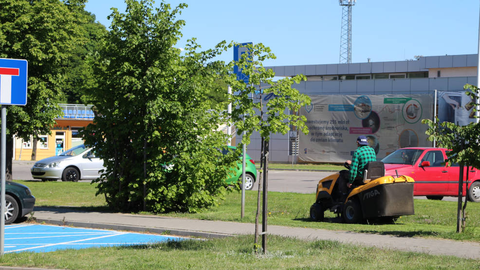 Jarocin. Gmina ogranicza koszenie trawników do miejsc, gdzie jest to niezbędne - Zdjęcie główne