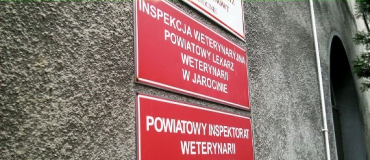 Trwa protest. Czy będzie głodówka w jarocińskiej weterynarii? - Zdjęcie główne