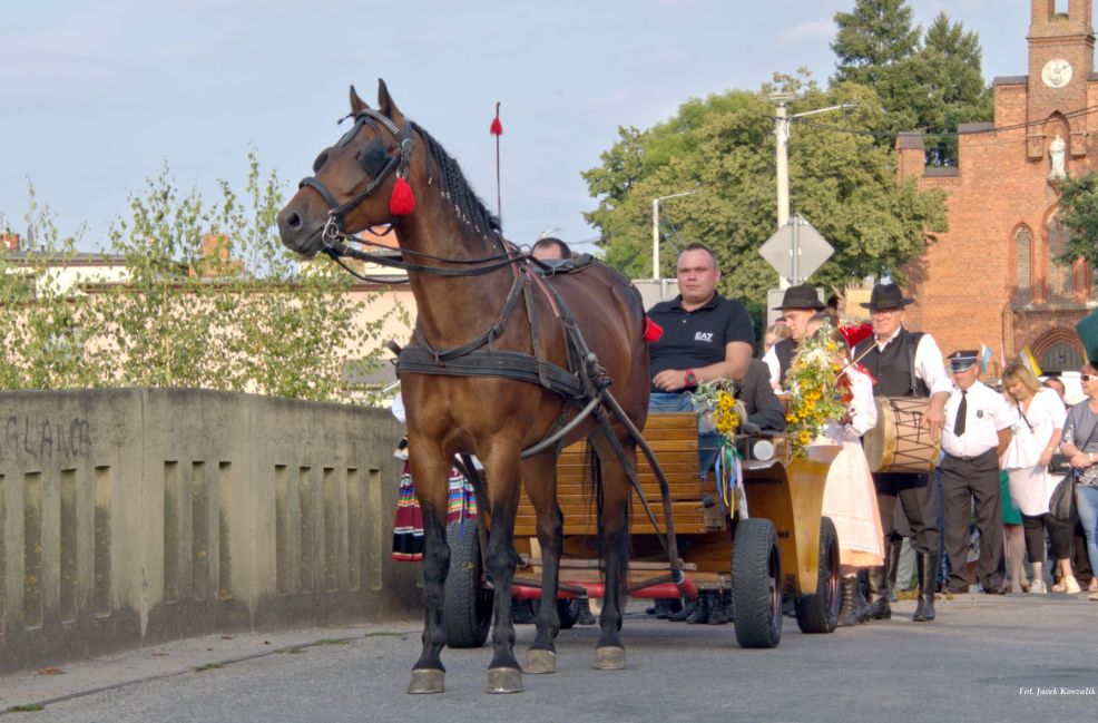 Jarocin - Wilkowyja. Rolnicy dziękowali za tegoroczne plony