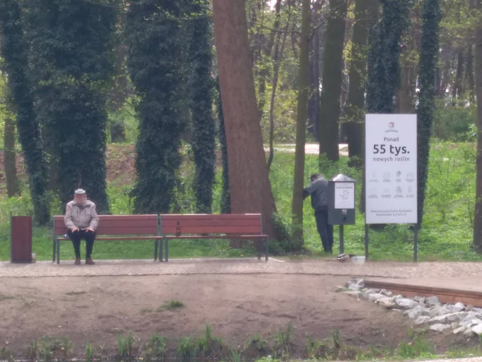 Piją alkohol i sikają po krzakach. Problem w nowym parku przy ul. Szubianki w Jarocinie - Zdjęcie główne