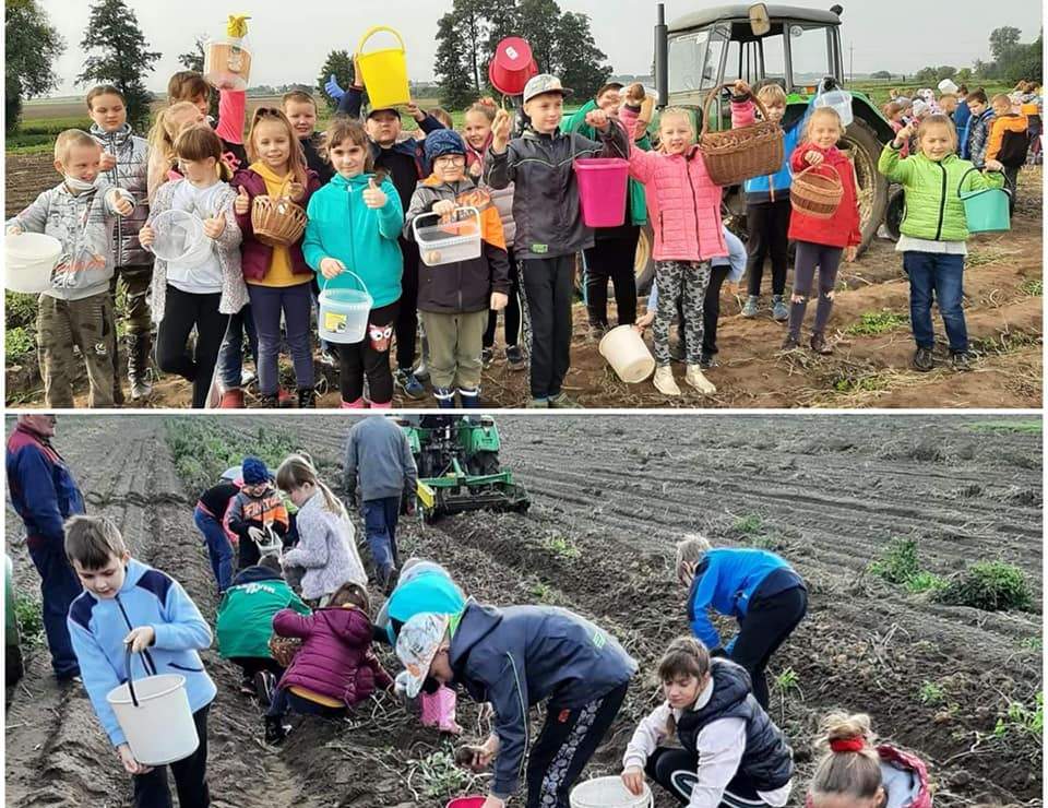 Aktywne dni w Szkole Podstawowej numer 2 w Jarocinie - Zdjęcie główne