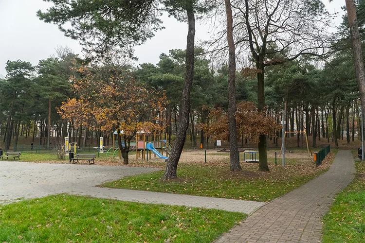 Park na Szubiankach w Jarocinie będzie rewitalizowany