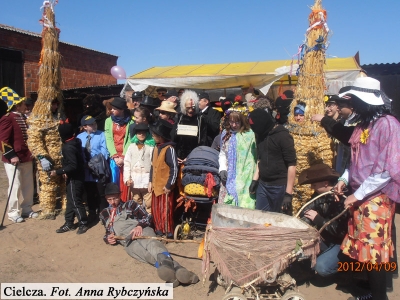 Niedźwiedzie 2012 - Zdjęcie główne