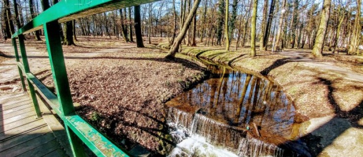 Spotkał w parku anioła. Ostatnio chciał ją przytulić. Odważył się to napisać… - Zdjęcie główne