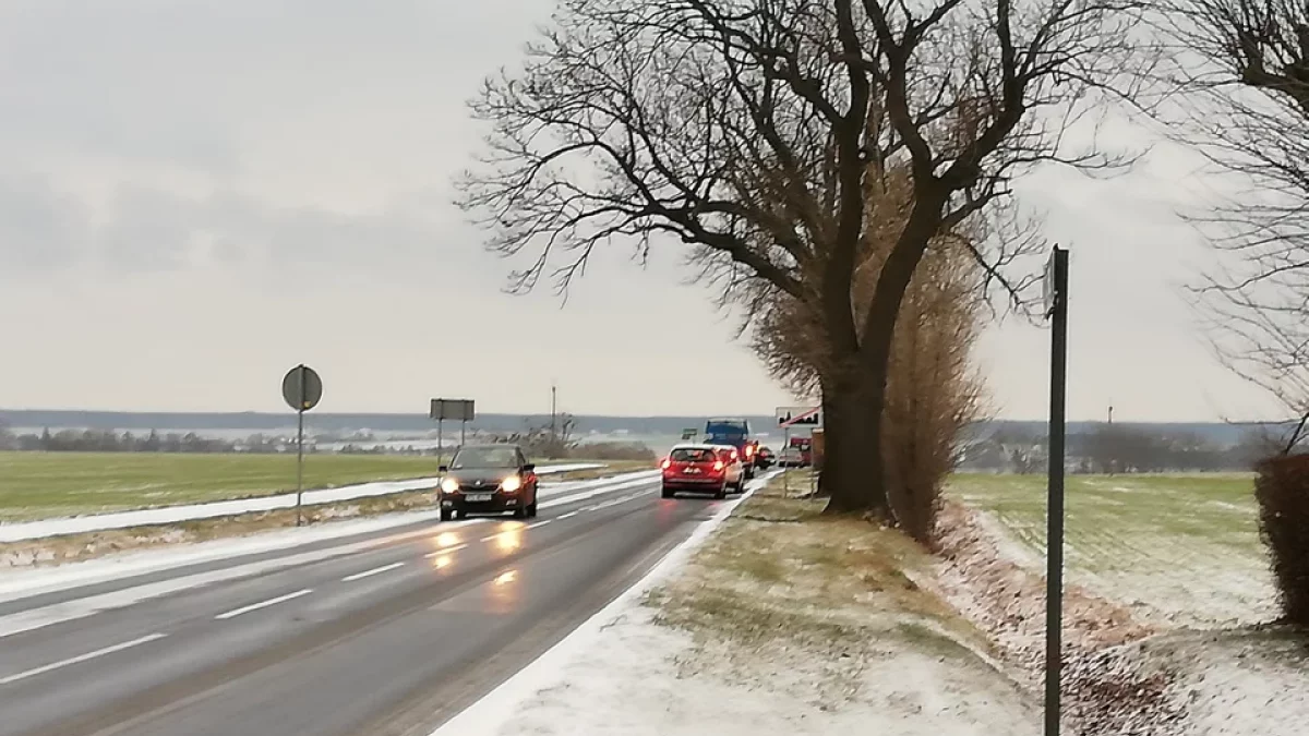 Akcja ZIMA 2025/2026. Kto ma odśnieżać nasze drogi i do kogo dzwonić w razie problemów - podajemy SZCZEGÓŁY - Zdjęcie główne