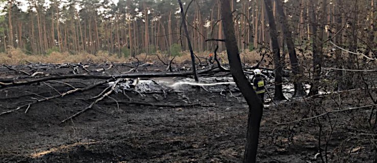 Kolejny pożar w tym samym miejscu. Z płomieniami walczy 8 zastępów straży - Zdjęcie główne