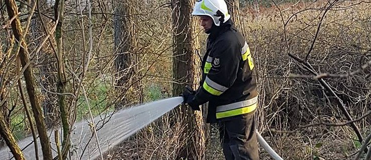 Uwaga! Obowiązuje najwyższy stopień zagrożenia pożarowego w lasach   - Zdjęcie główne