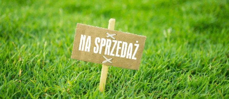 Ile działek sprzedano w czasie przetargu?  - Zdjęcie główne