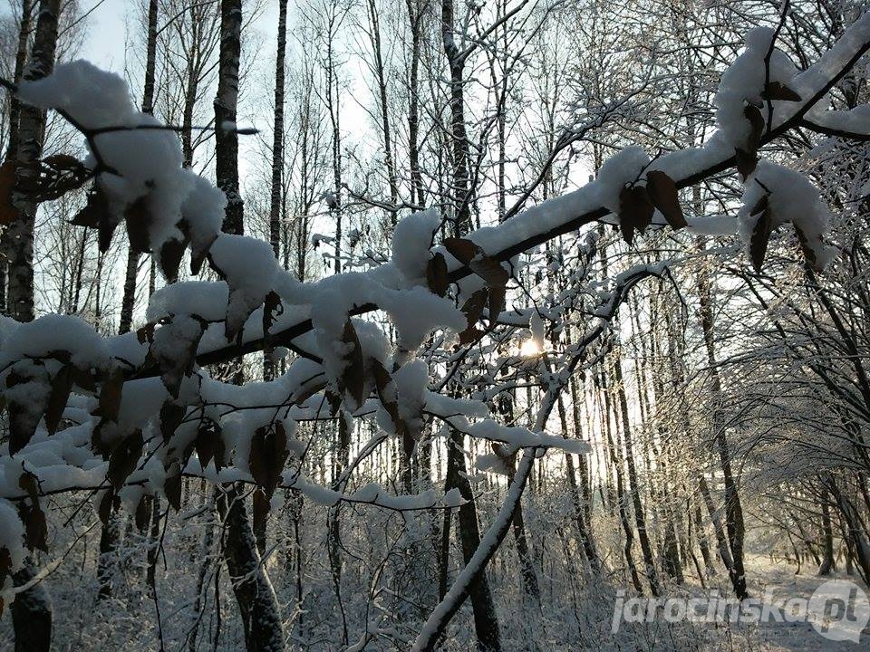 Jarocin. Zima na Ziemi Jarocińskiej - Zdjęcie główne