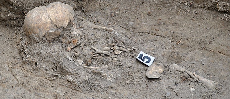 Odkryli czterdzieści grobów, wykopali szkielety dzieci i dorosłych - Zdjęcie główne