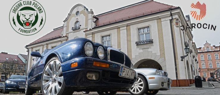 Gala jaguarów w Jarocinie. Już w ten piątek  - Zdjęcie główne