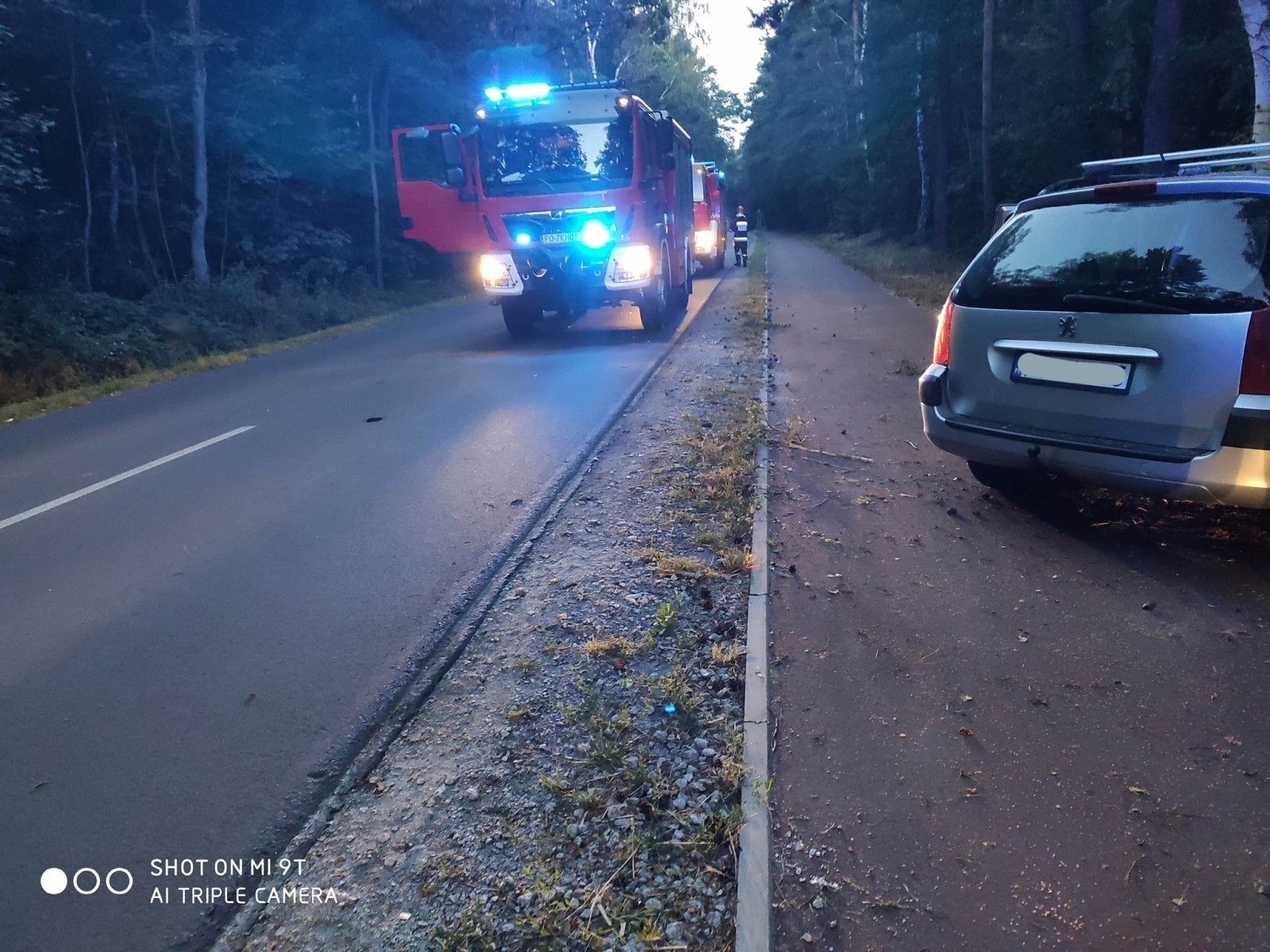 Jarocin. Służby ratunkowe interweniowały w Zakrzewie i Rusku     - Zdjęcie główne