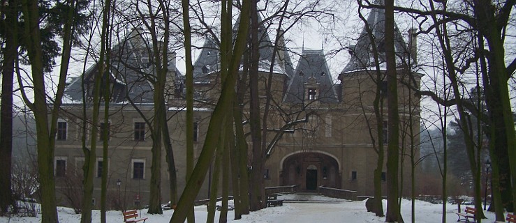 Zamek z parkiem w Gołuchowie sprzedane - Zdjęcie główne