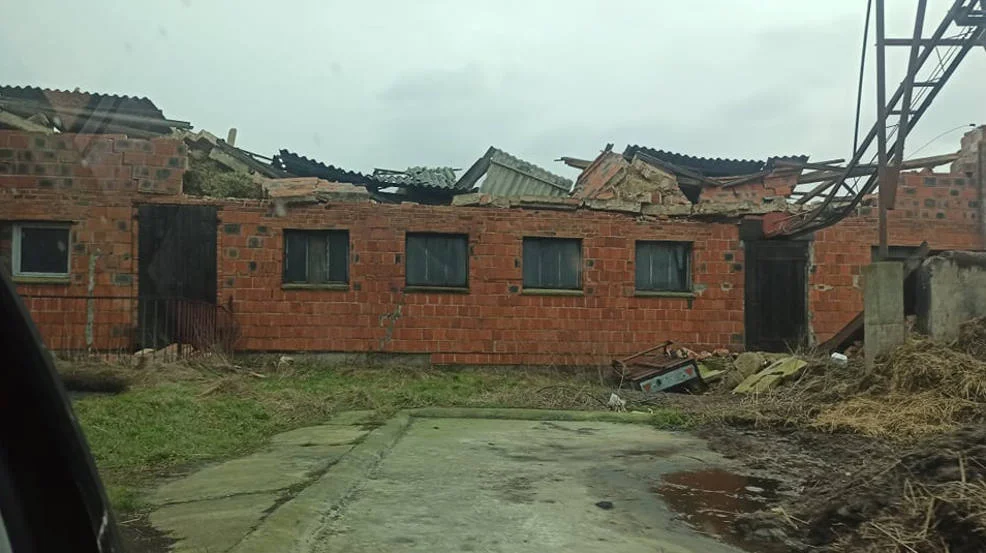 W gminie Żerków można zgłaszać szkody spowodowane przez wiatr - Zdjęcie główne