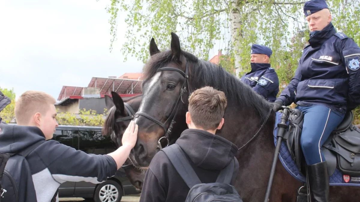 W Jarocinie zagrają dla "Zakątka Weteranów". Policjanci będą zbierać pieniądze dla czworonożnych, emerytowanych funkcjonariuszy - Zdjęcie główne