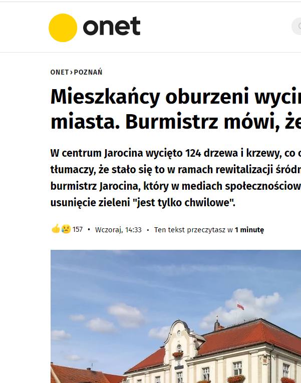 Wycięte drzewa w Jarocinie na ustach całej Polski. O sprawie mówią największe media w kraju 