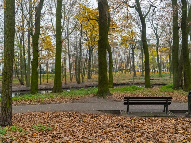 Park na Szubiankach w Jarocinie będzie rewitalizowany