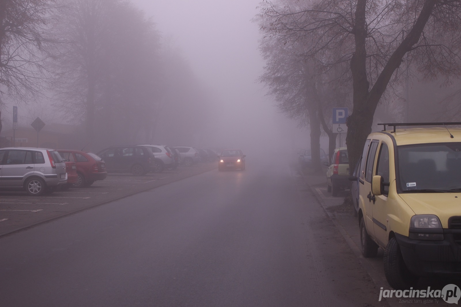 Mgła na drogach - Zdjęcie główne