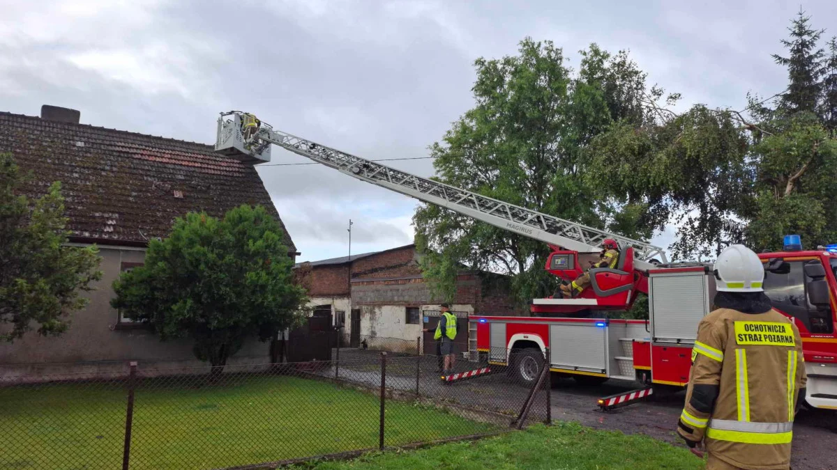 Burza w Jarocinie i okolicy. Pierwsze interwencje straży  pożarnej - Zdjęcie główne