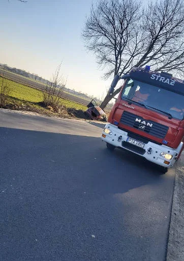 Zdarzenie drogowe w Żerkowie. Zderzenie z drzewem